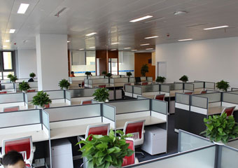 上海婚姻律師咨詢